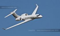 Freewing PJ50 Private Business Twin 70mm EDF Jet w/Flight Stabilization