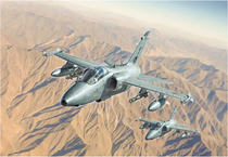 Italeri 1/72 AMX Single Seat Fighter