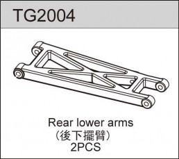 Team C Racing TG2004 Rear Lower Arm (2) TS2 Tr2.