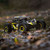 Losi LOS03009T1 1/10 Rock Rey 4WD RTR with AVC, Yellow