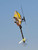 Blade Fusion 180 BNF 3D Helicopter