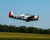 Hangar 9 P-47D Thunderbolt 20cc ARF 67"