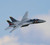 E-flite F-14 Tomcat Twin 40mm EDF BNF Basic