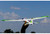 E-flite UMX Conscendo BNF Basic with AS3X and SAFE Select