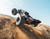 Arrma 1/8 KRATON 6S EXB 4X4 RTR Brushless Speed Truck Black