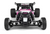 Maverick 1/24 Microbe 2WD Buggy Pink w/Battery & Charger