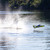 Pro Boat U-34 34" Miss Illinois Unlimited 8S RTR 113kph Hydroplane 