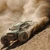 Arrma 1/10 BIG ROCK 223S DSC 4X4 Brushless Monster Truck RTR Green