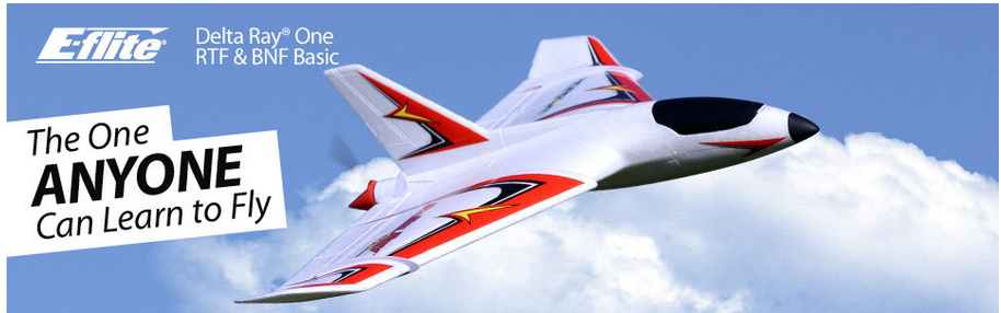 delta ray rc airplane