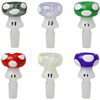 Crooks Accessories - Bowl Display Connoisseur 12ct