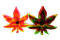 Silicone Leaf Ashtray w/Poker Silicone Leaf Ashtray w/Poker