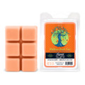 Beamer Candles Michigan Peach Tree 2.4oz