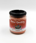 Odor Buddy Ashtray & Candle Fruity Cereal 12oz