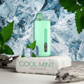 VIGORBOX 10k Puffs 20ml - Cool Mint