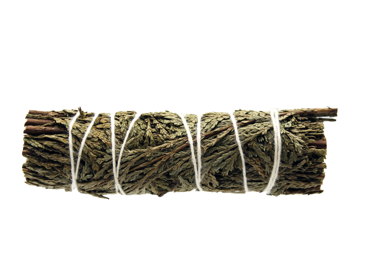 INS-DIV-91350 4" ROSEMARY SAGE BUNDLE