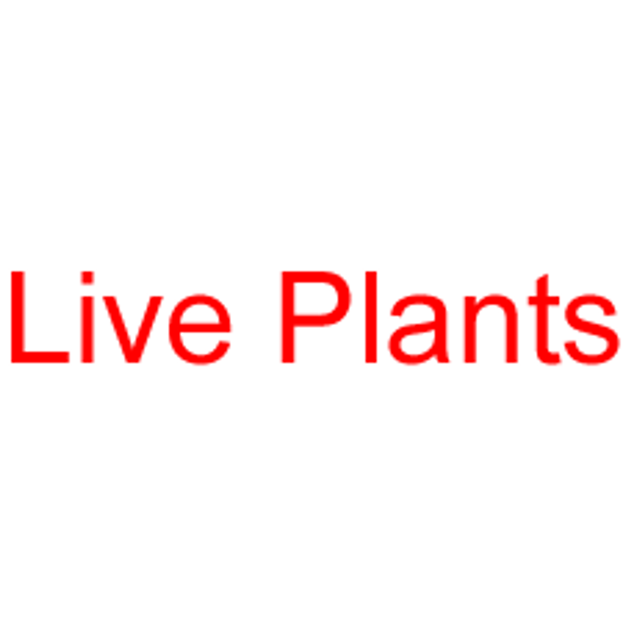 LIVE PLANTS Rubber Stamp for mail use self-inking