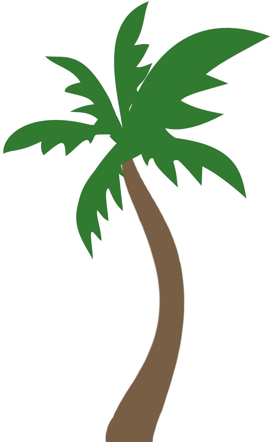 palm2.jpg