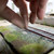 Lineside Ash 180ml | WSBM-012