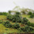 WWScenics Bushes 500ml Tub