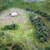 WWScenics Bushes 500ml Tub