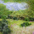 WWScenics Bushes 500ml Tub