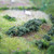 WWScenics Bushes 500ml Tub