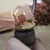 Red Planet Miniature Basing Kit