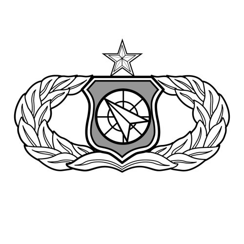 AF24U - Weapons Director - Senior