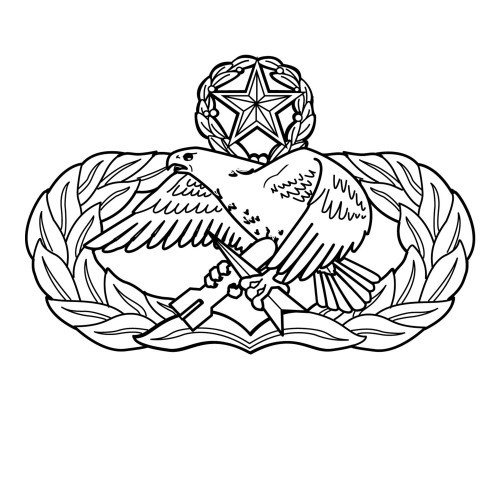 Air Force Maintenance Badges