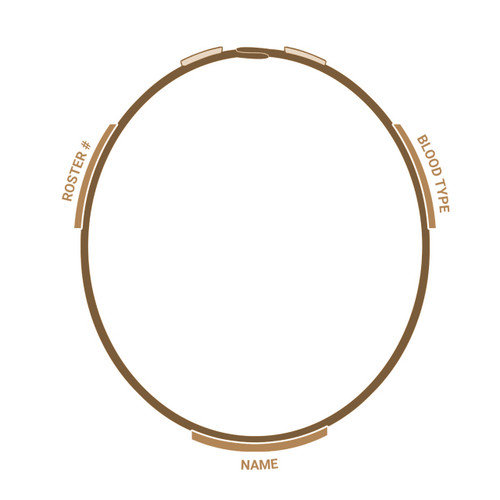 Tan 499 OCP cat eyes for helmet