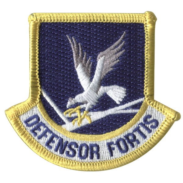 Defensor Fortis Enlisted Flash patch for Security Forces Beret