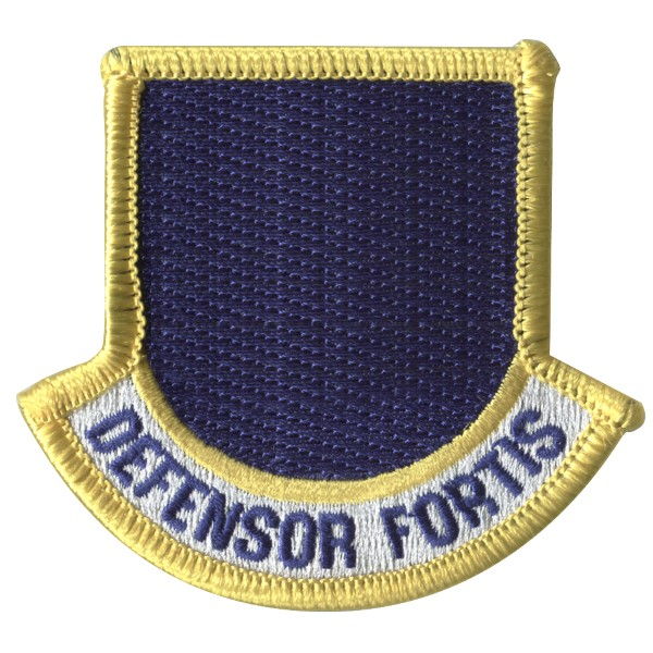 Blank Defensor Fortis Flash Beret Patch for pin-on rank
