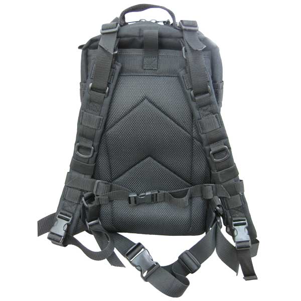Back view of FC Presidio Backpack