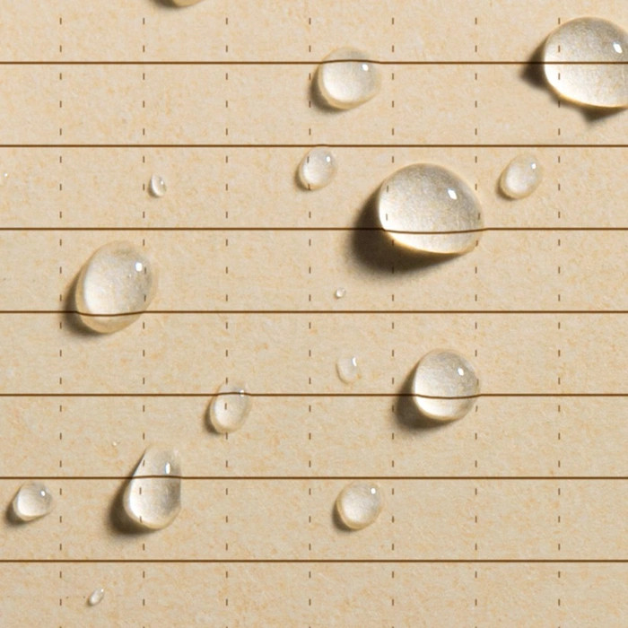 Rite in the Rain Pocket Top-Spiral Notebook, Tan Flag