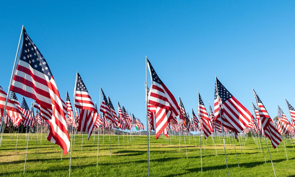 3 Important Facts To Know About Veteran’s Day