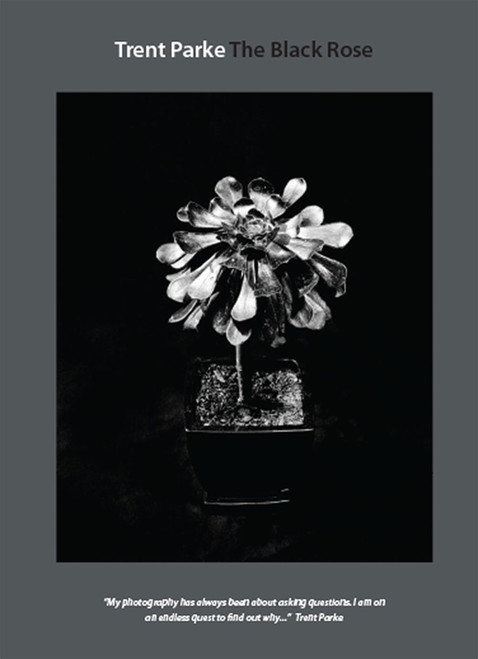 Trent Parke:  The Black Rose