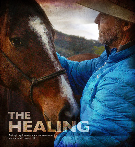 Healing, The (1-Year Rental)