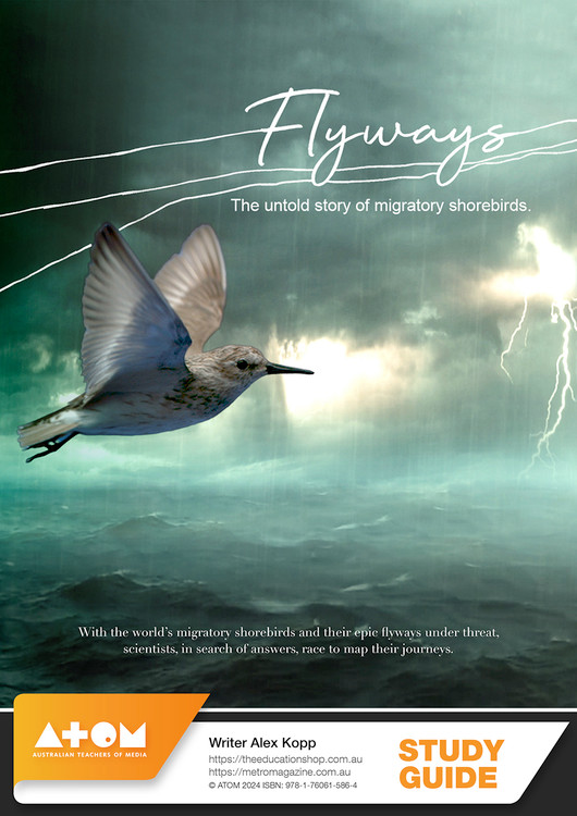 Flyways (ATOM Study Guide)