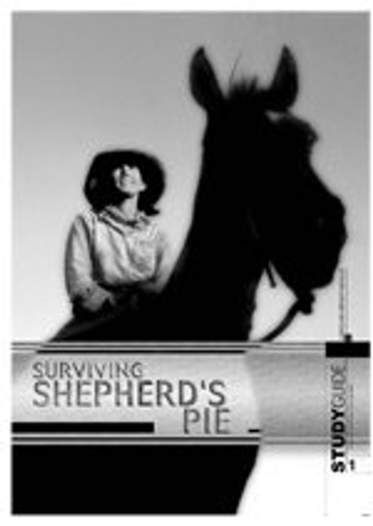 Surviving Shepherd's Pie