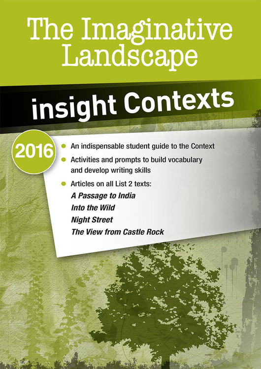 Insight Contexts: The Imaginative Landscape