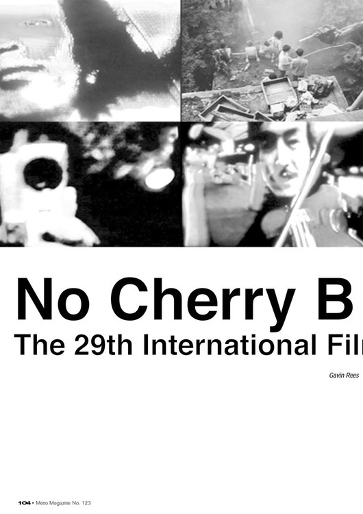 No Cherry Blossoms: The 29th International Film Festival Rotterdam