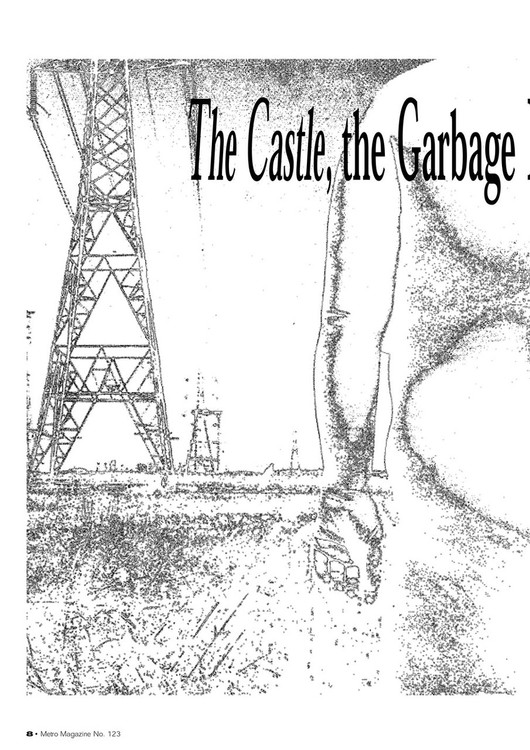 The Castle', the Garbage Bin and the High Voltage Tower: Home Truths in the Suburban Grotesque