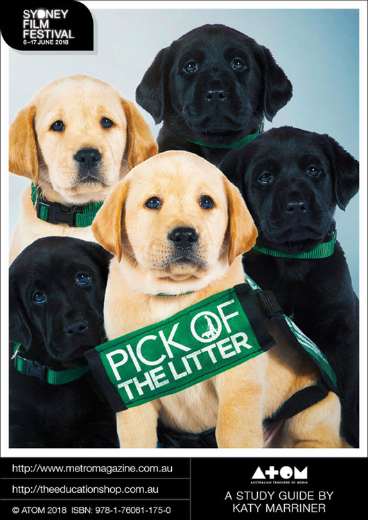 Pick of the Litter (ATOM Study Guide) The Education Shop
