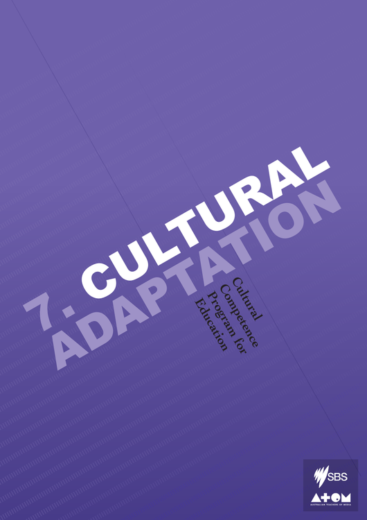 Cultural Competence Program - Module 7: Cultural Adaptation (1-Year Access)