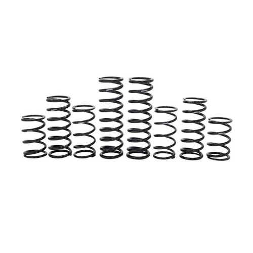 Polaris RZR Turbo R Walker Evans Stage 1 Spring Kit (2022-2023)