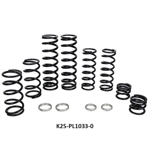Polaris RZR PRO XP 4 Stage 1 Dual Rate Spring Kit (Fox Dynamix Shock)