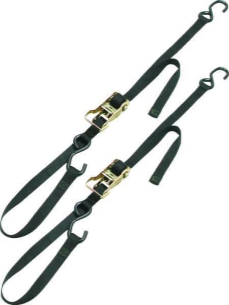 Ancra Cargo 69 x 1 Inch Integra Ratchet Tie Down (2 Pack)
