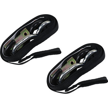 Ancra Cargo 66 x 1 Inch Lites Motorcycle Tie-Down (2 Pack)