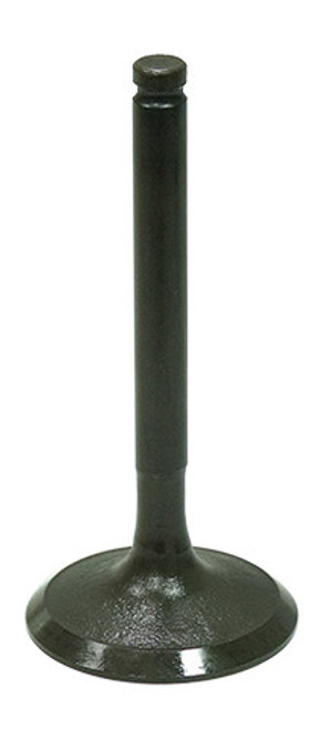 INTAKE VALVE | 183-09207
