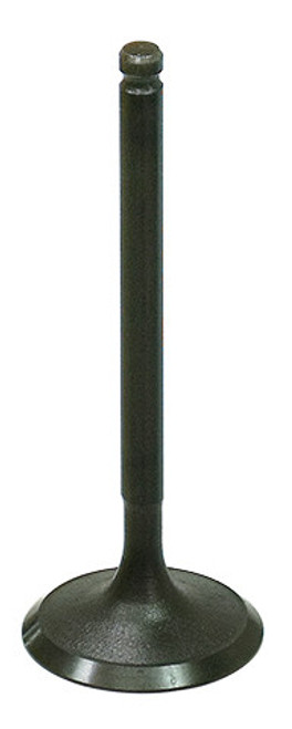 INTAKE VALVE | 183-09213
